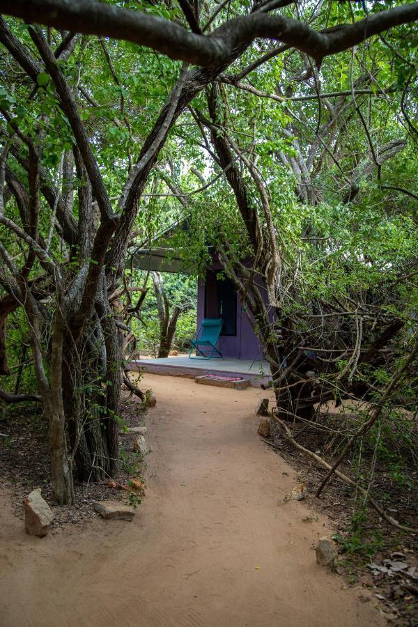 Hotel Yala Eco Bush Camp Esterno foto