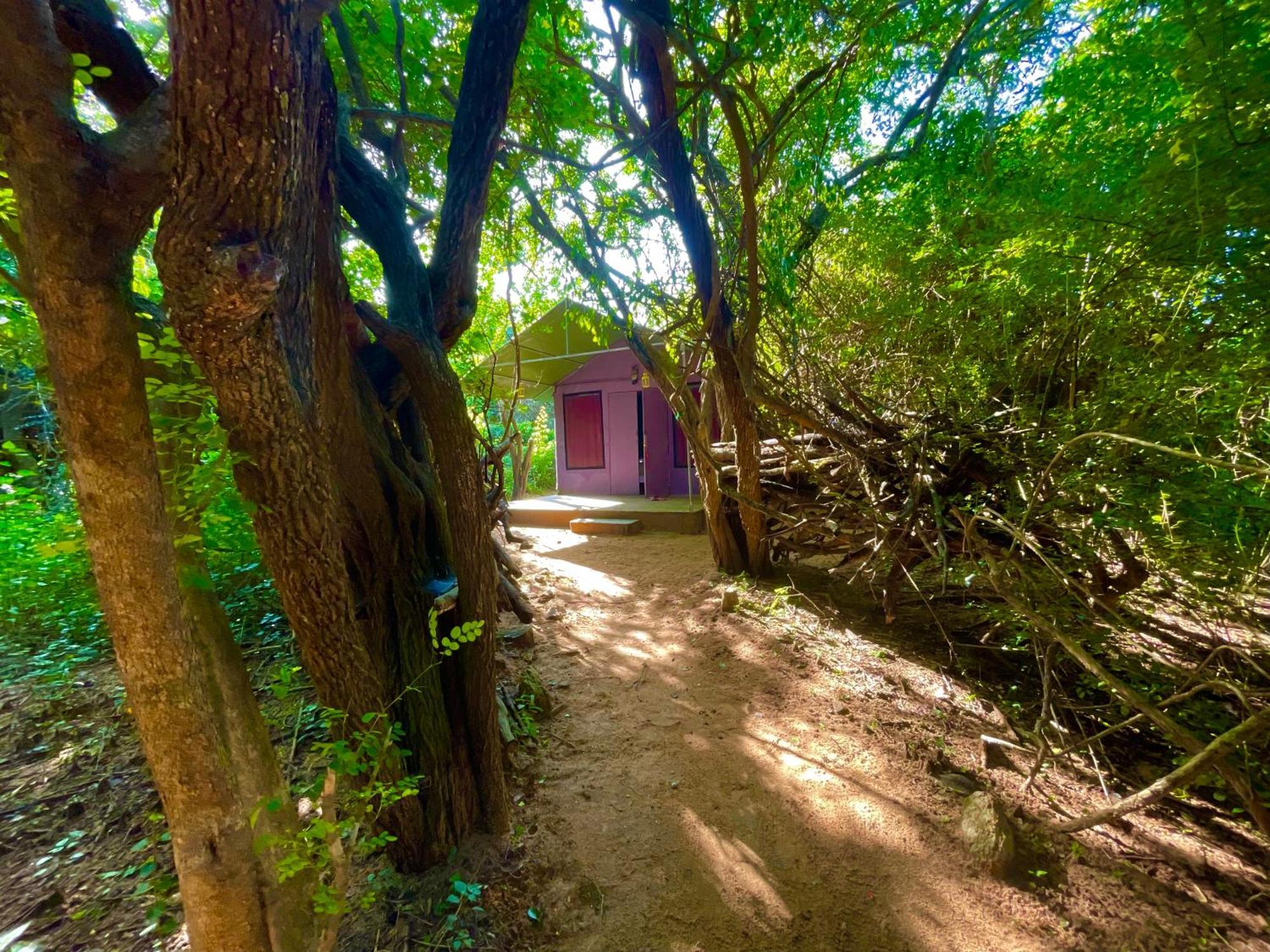 Hotel Yala Eco Bush Camp Esterno foto