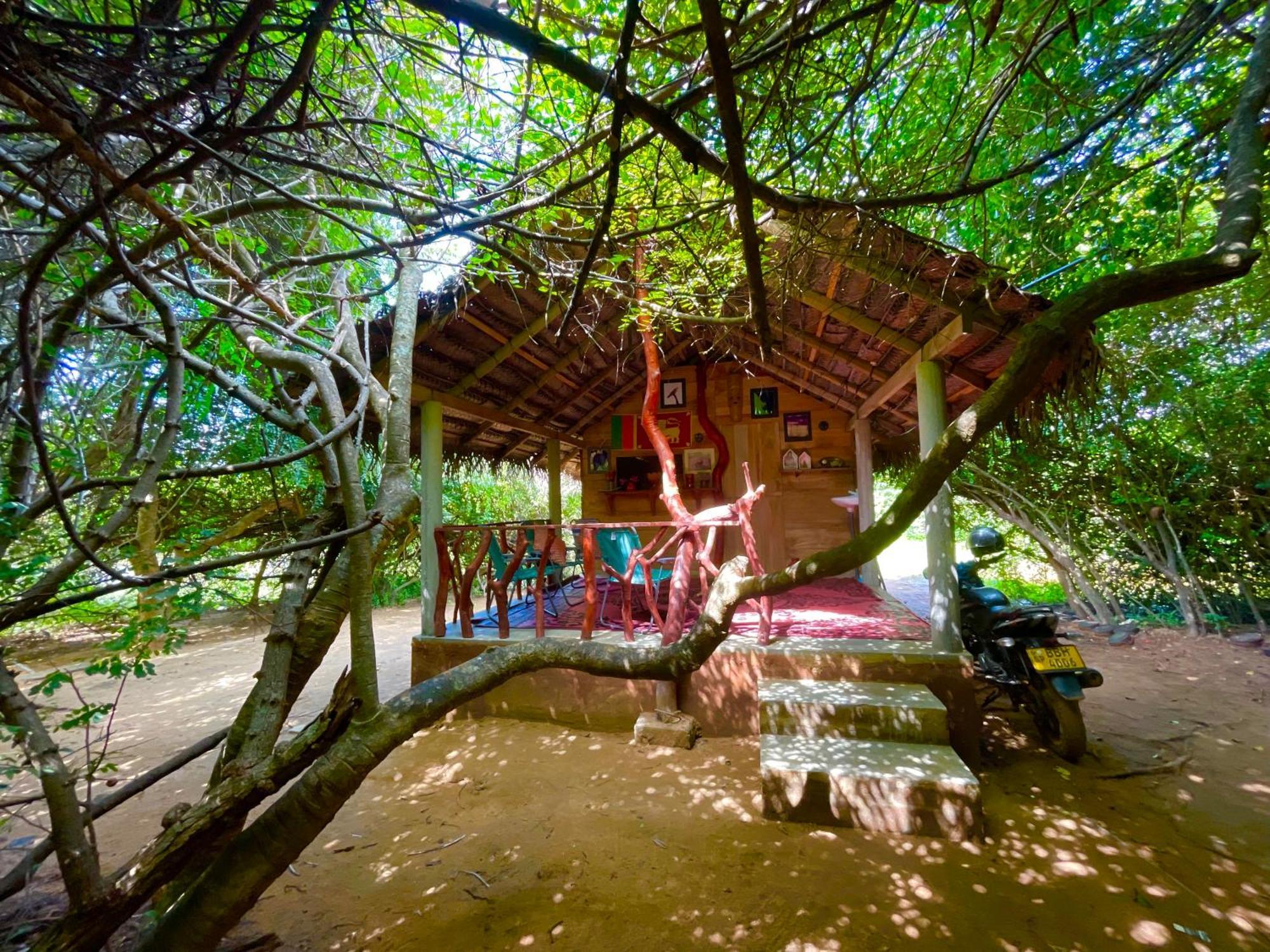 Hotel Yala Eco Bush Camp Esterno foto