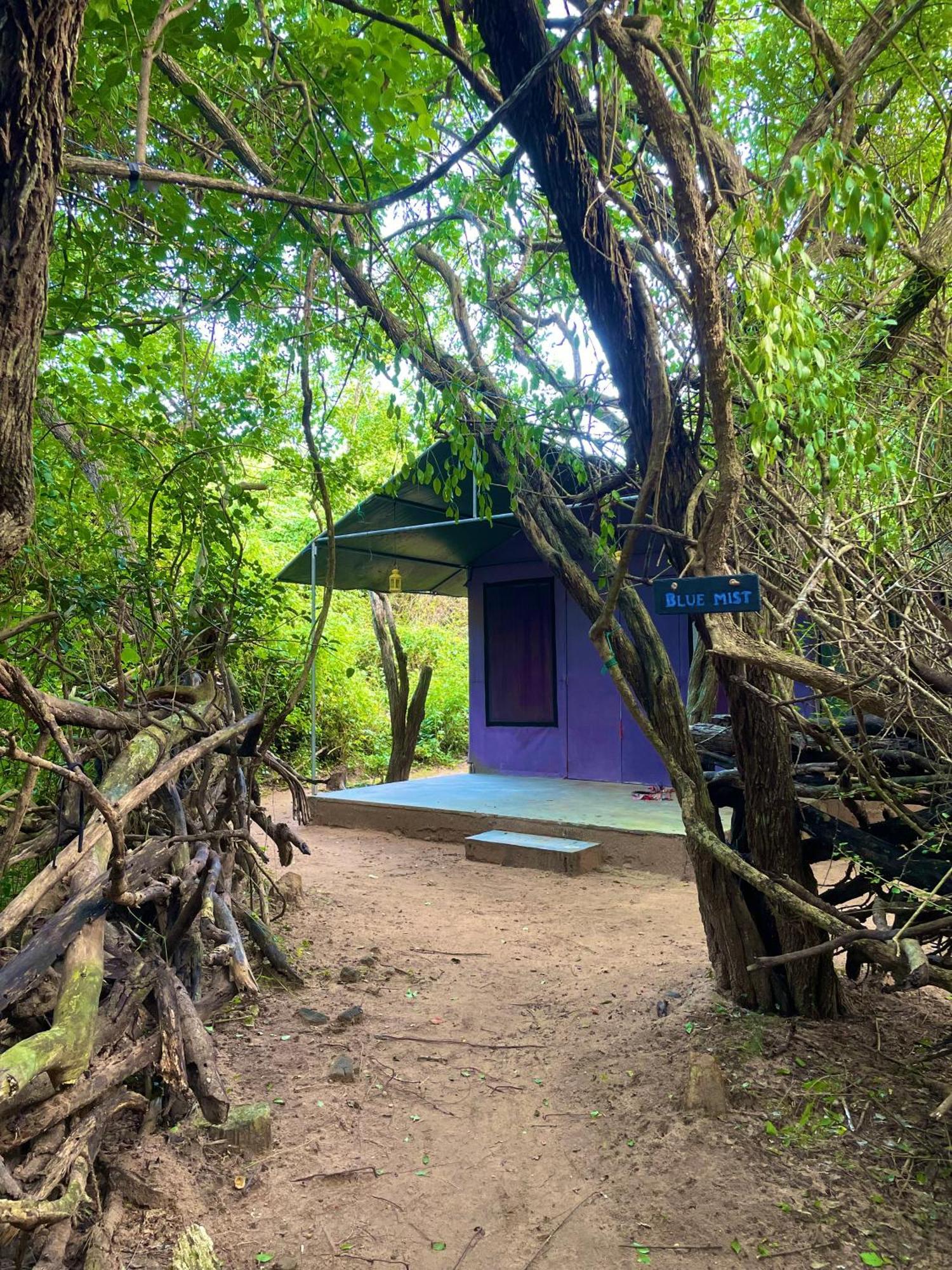 Hotel Yala Eco Bush Camp Esterno foto