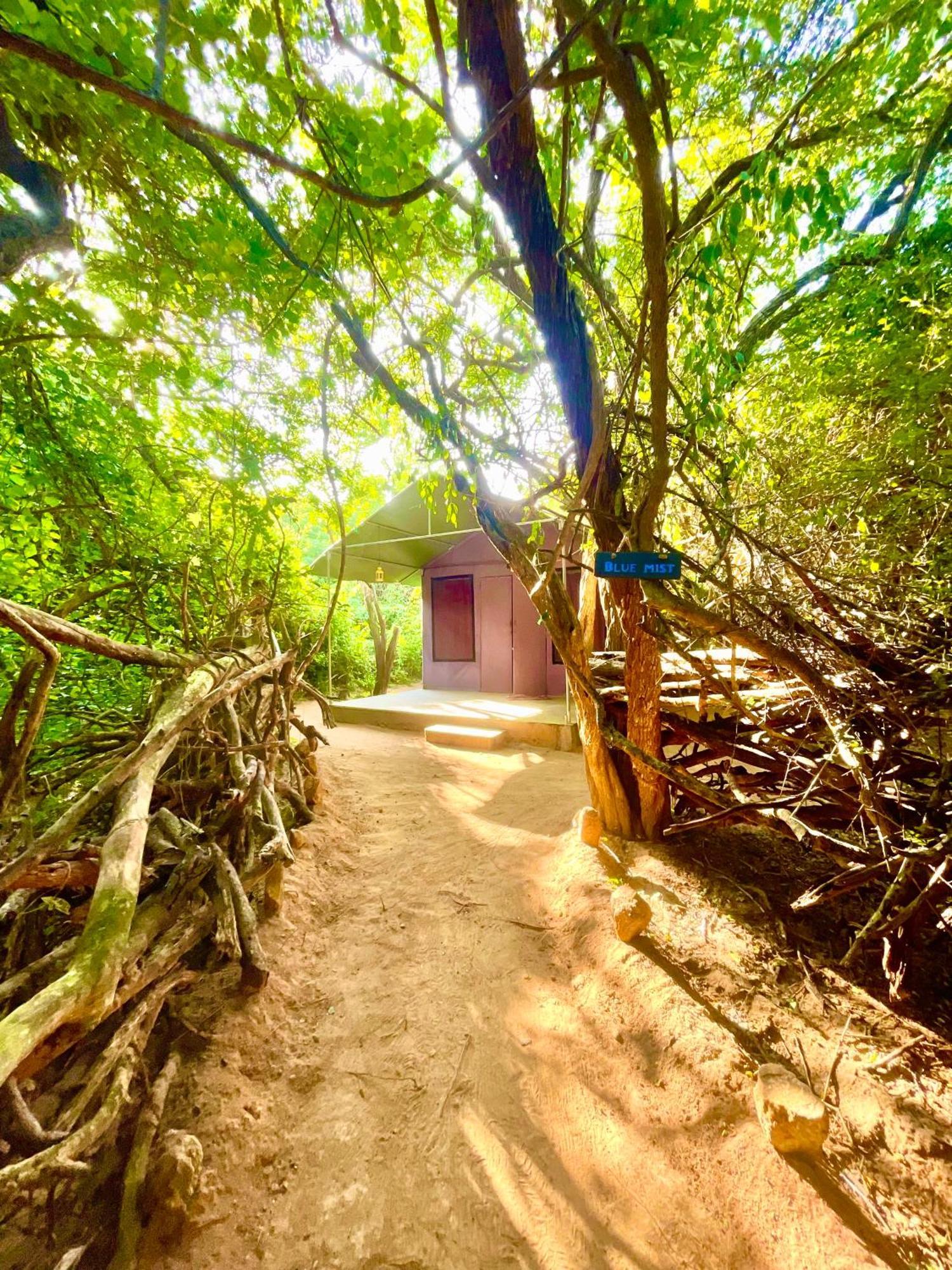 Hotel Yala Eco Bush Camp Esterno foto