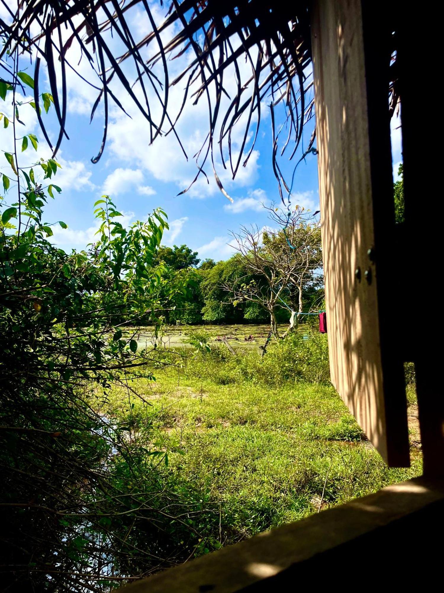 Hotel Yala Eco Bush Camp Esterno foto