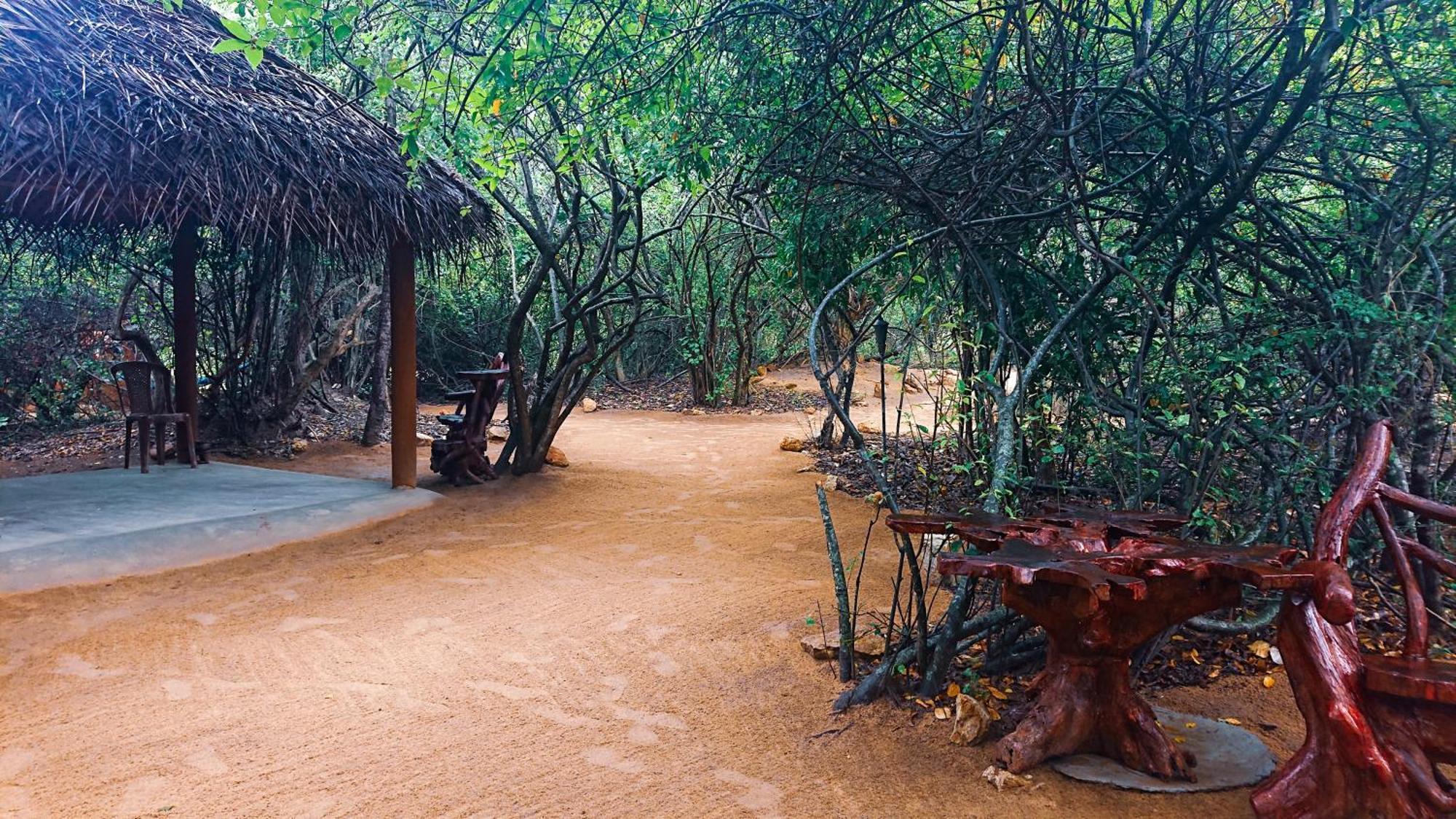 Hotel Yala Eco Bush Camp Esterno foto